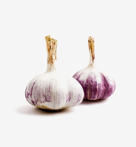 Word On The Beet - Image 3